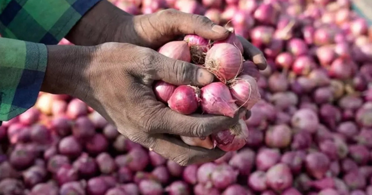 হঠাৎ পেঁয়াজের দাম বাড়ছে! কারণ কী