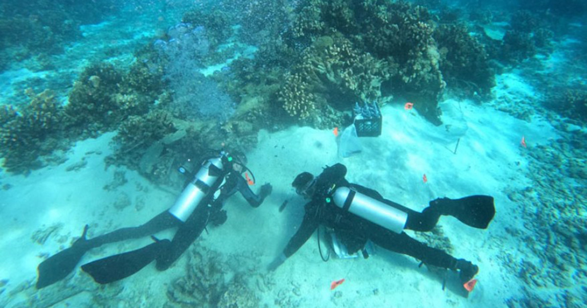 ৪০ হাজারের বেশি মার্কিন সেনা নিখোঁজ, সমুদ্র তলদেশে বিজ্ঞানীরা