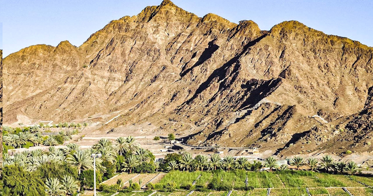 যেভাবে ইসলাম গ্রহণ করেন সালামাহ ইবনে আকওয়া (রা.)