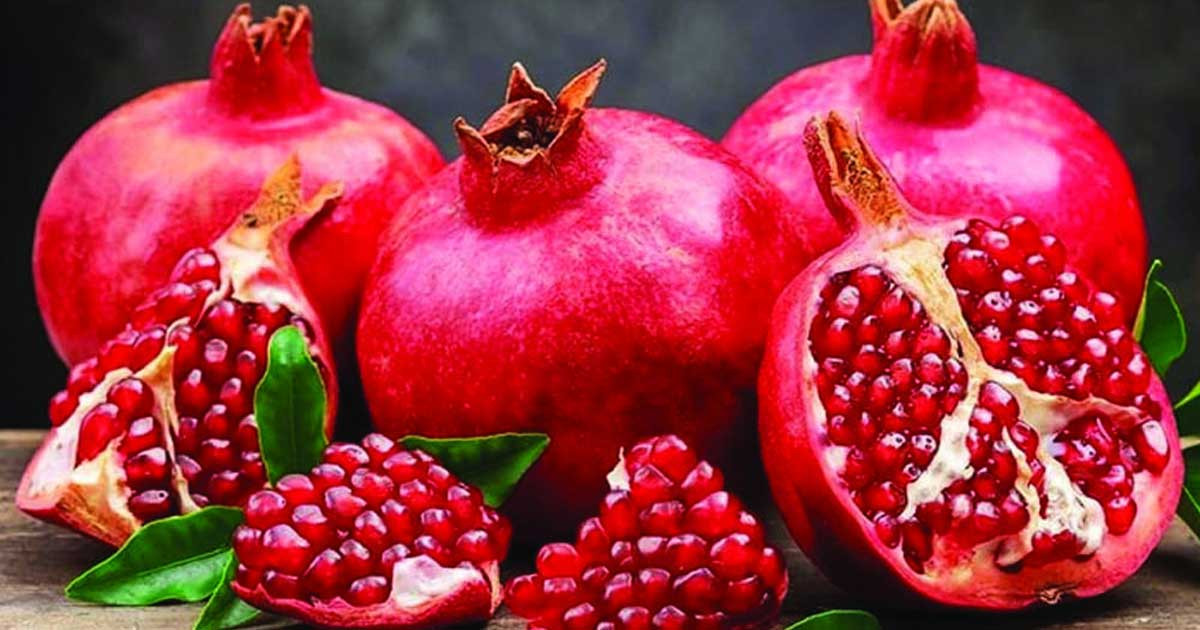 প্রতিদিন ডালিম খেলে একমাসেই  শরীরে যে ১০ পরিবর্তন ঘটে