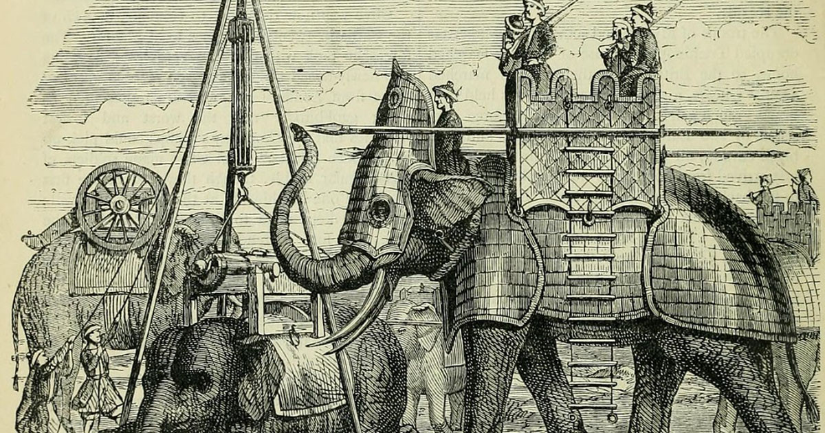 হাতির বছর ও হাতিবাহিনী নামকরণের ইতিহাস