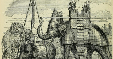 হাতির বছর ও হাতিবাহিনী নামকরণের ইতিহাস