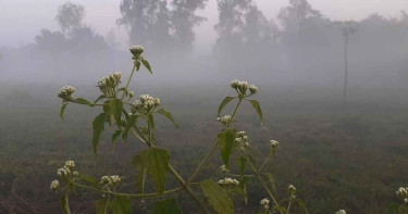পঞ্চগড়ে বাড়ছে শীতের আমেজ, তাপমাত্রা নেমে ১৪ ডিগ্রিতে