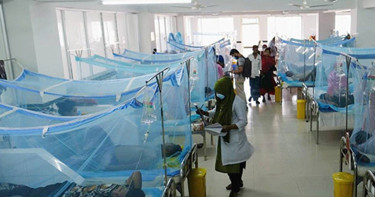 দেশে ডেঙ্গুতে আরও ৩ জনের মৃত্যু, হাসপাতালে ভর্তি ৯১২ জন