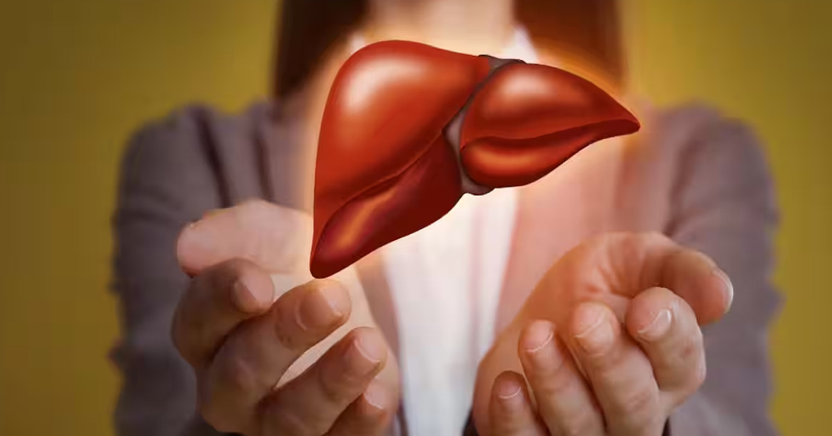 লিভারকে সুস্থ রাখতে যেসব খাবার খাওয়া প্রয়োজন