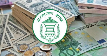 ১২ দিনে রেমিট্যান্স এলো ১৩৪৬ মিলিয়ন ডলার