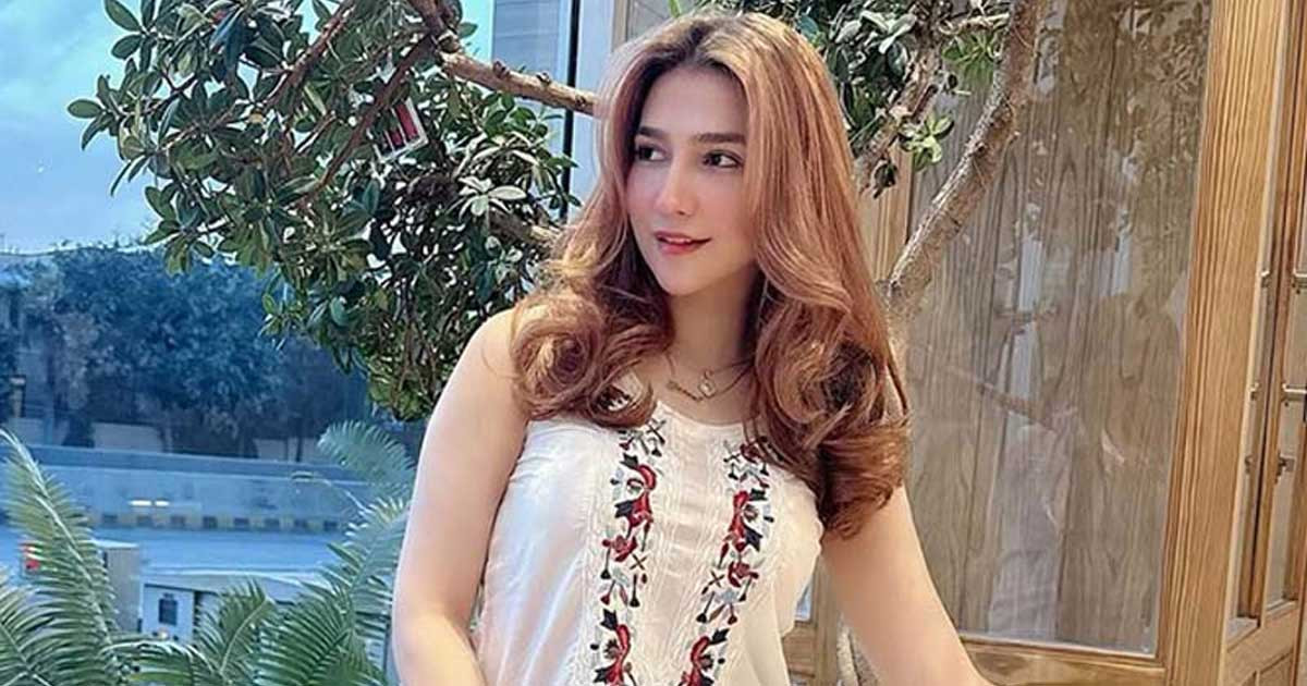 পাকিস্তানি তারকার পার্টিতে পুলিশের অভিযান, গ্রেপ্তার ৫১