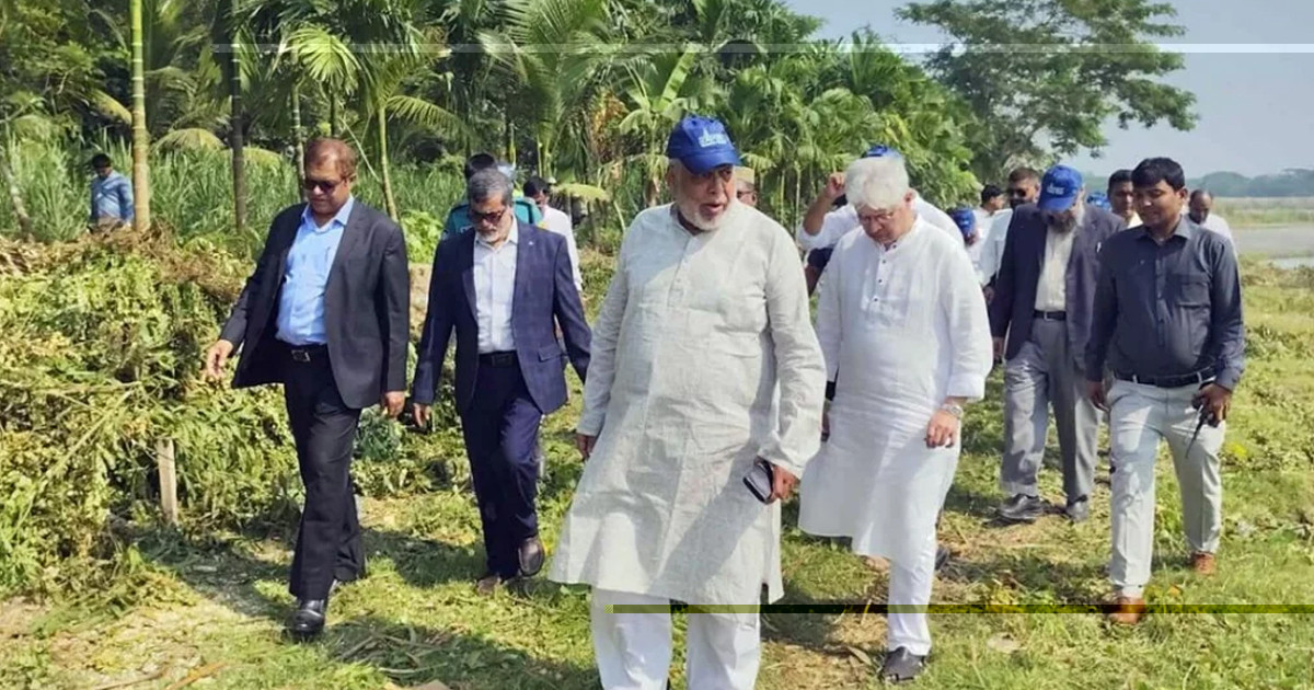ভোলায় সার কারখানা স্থাপনের স্থান পরিদর্শন করলেন ৩ উপদেষ্টা