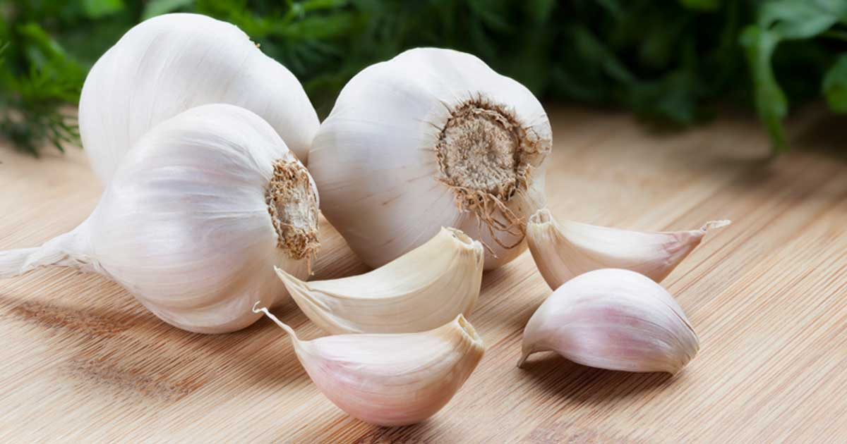 শরীরের যে সমস্যা থাকলে ভুলেও রসুন খাবেন না!