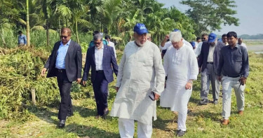 ভোলায় সার কারখানা স্থাপনের স্থান পরিদর্শনে ৩ উপদেষ্টা