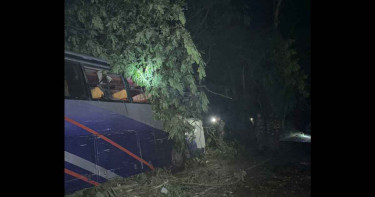 কাশিয়ানীতে গভীর রাতে গাছ ফেলে মহাসড়ক অবরোধের চেষ্টা