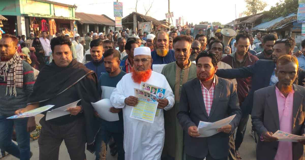 ধানের শীষে ভোট চেয়ে বিএনপির ৩১ দফা বাস্তবায়নে লিফলেট বিতরণ