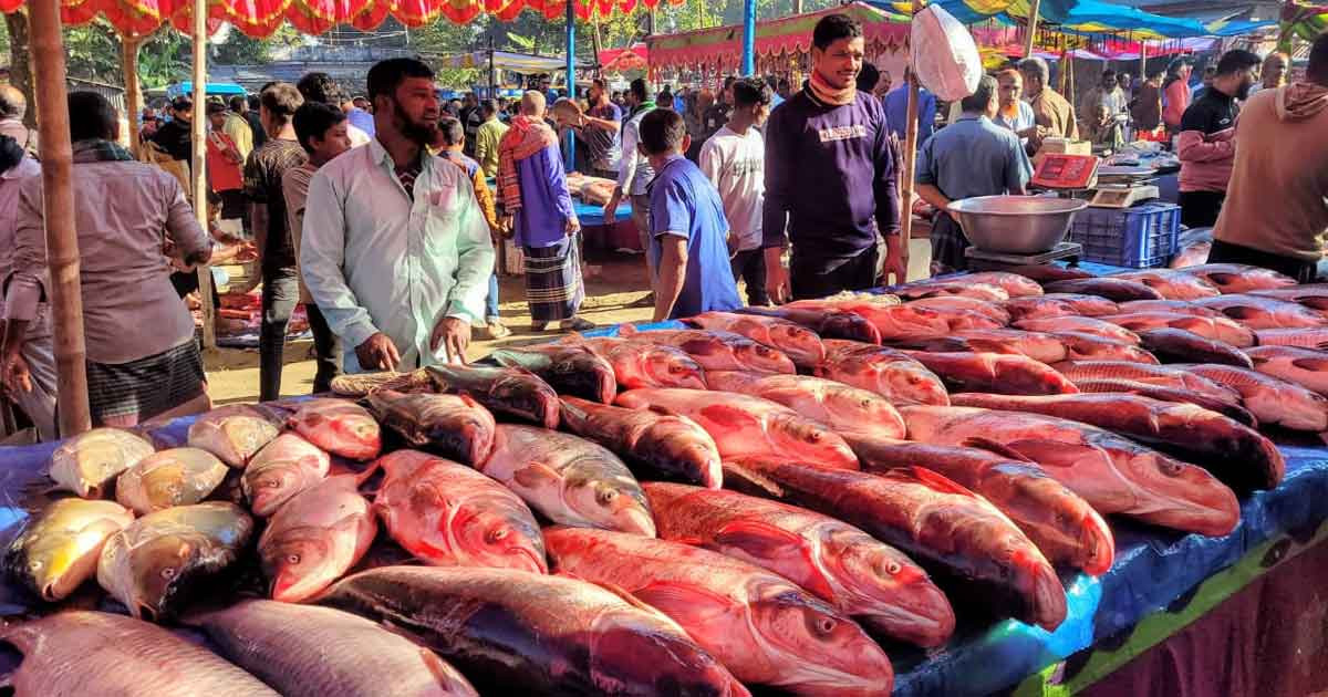 নবান্নের উৎসবে বটতলায় বসেছে কোটি টাকার ঐতিহ্যবাহী মাছের মেলা