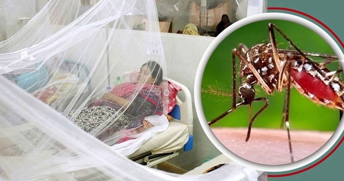 ডেঙ্গুতে আরও ৪ জনের মৃত্যু, হাসপাতালে ৯২০