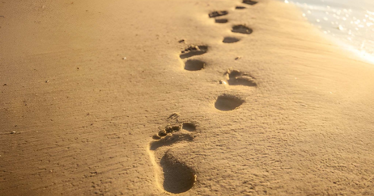 অনুকরণ ও অনুসরণে চাই সতর্কতা