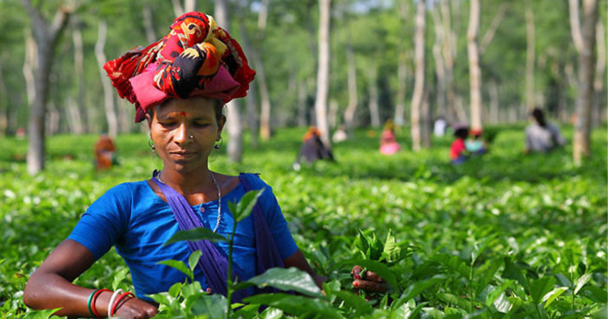 মজুরি বাড়ছে ১৩ খাতের শ্রমিকদের