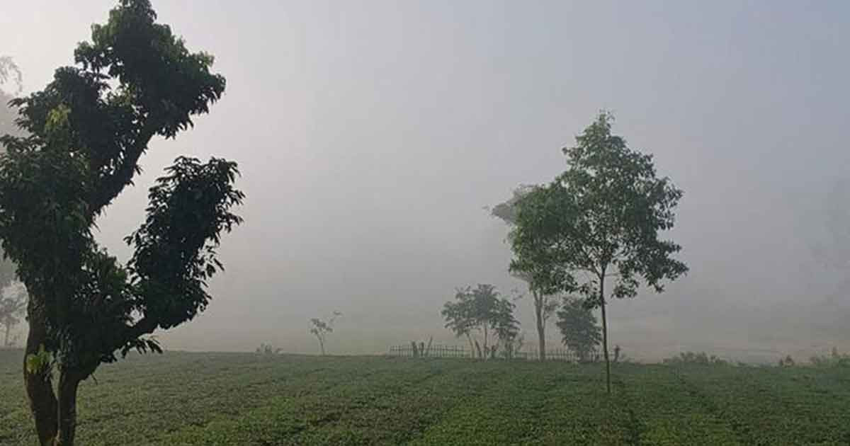 তেঁতুলিয়ায় বেড়েছে শীতের আমেজ