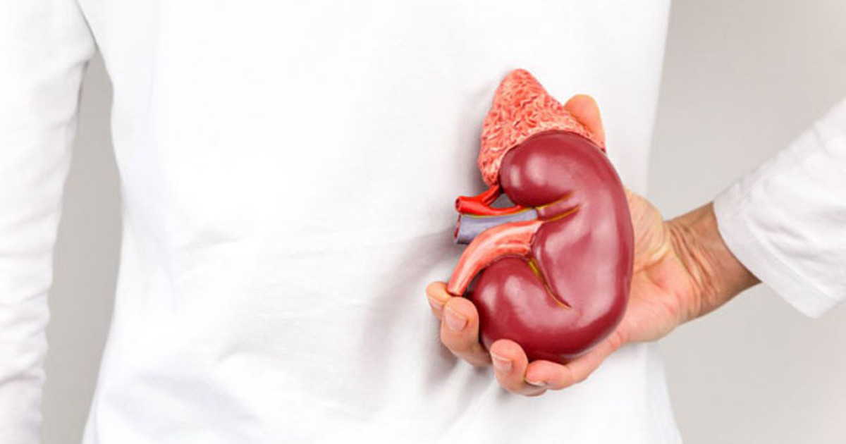 কিডনি ভালো রাখতে এই ৫ খাবার খান