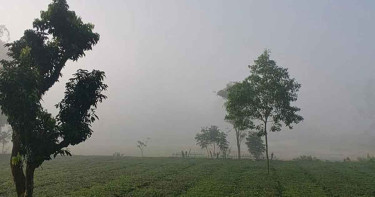 তেঁতুলিয়ায় বেড়েছে শীতের আমেজ