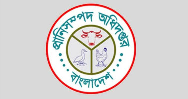 প্রাণিসম্পদ অধিদপ্তরে বড় নিয়োগ