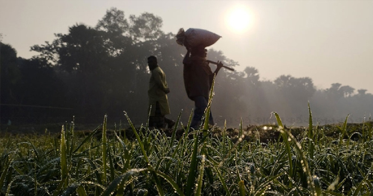 ১২ ডিগ্রি তাপমাত্রায় কাঁপছে পঞ্চগড়