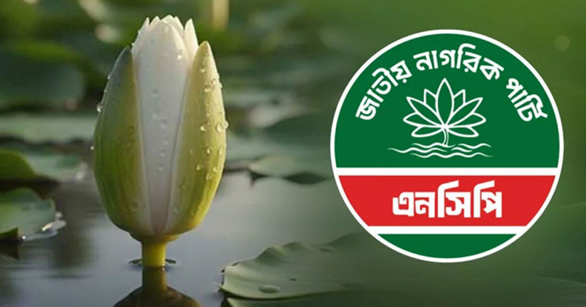 ৩০০ আসনে ১৪৮৪ মনোনয়ন ফরম বিক্রি এনসিপির