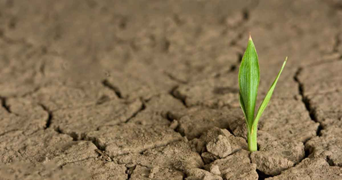 ঈমানদার ও ঈমানহীনদের চোখে ভূমিকম্প