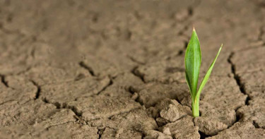 ঈমানদার ও ঈমানহীনদের চোখে ভূমিকম্প