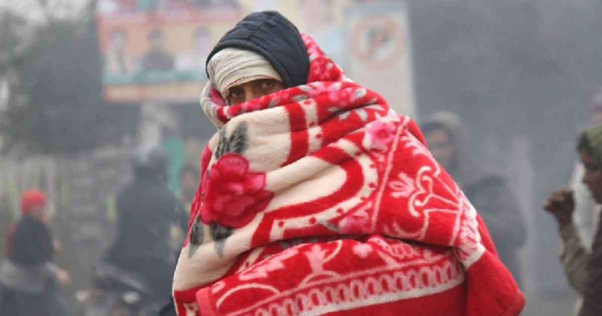 যে ভিটামিনের অভাবে শীত বেশি লাগে