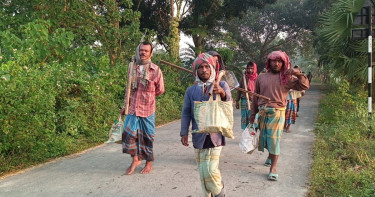 চুয়াডাঙ্গায় সকাল-সন্ধ্যায় অনুভূত হচ্ছে শীত