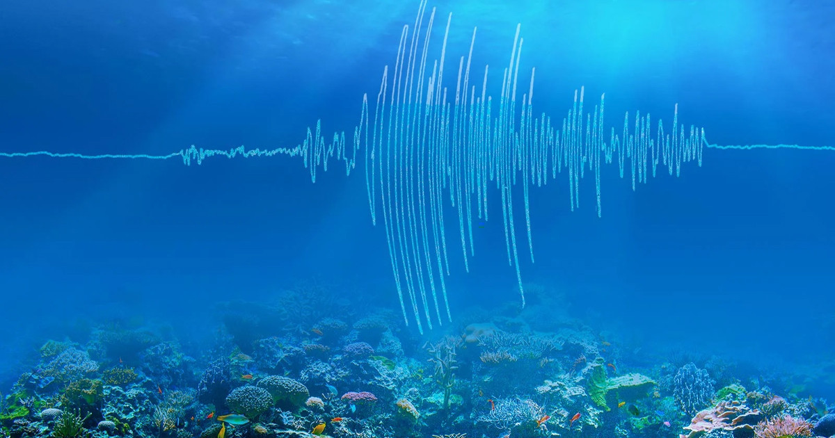 নৌকা বা জাহাজে থাকলে কি ভূমিকম্প টের পাওয়া যায়?