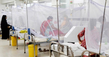 ডেঙ্গুতে আরও সাতজনের প্রাণহানি