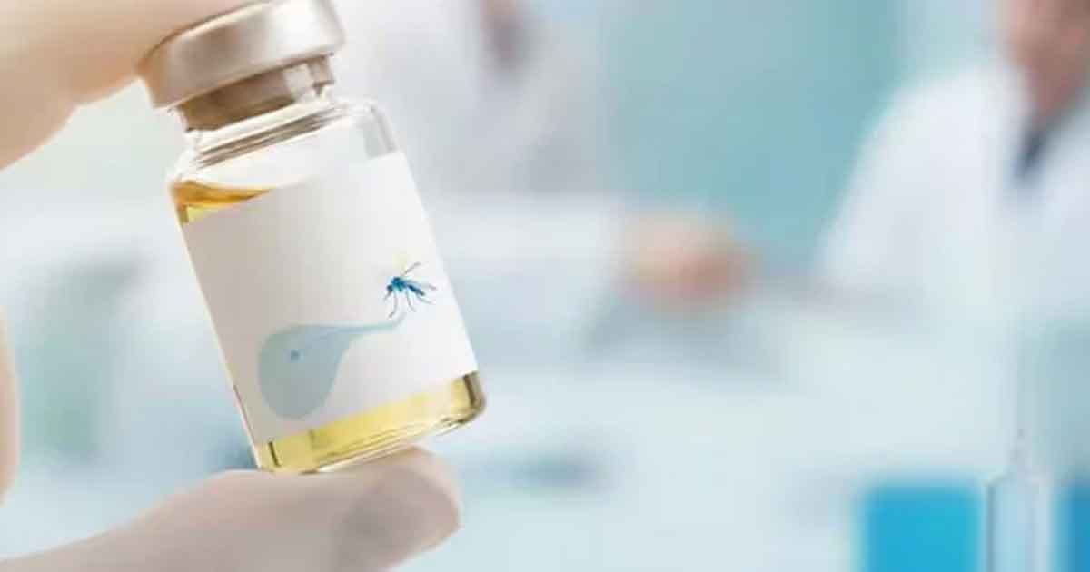 বিশ্বের প্রথম এক ডোজের ডেঙ্গু টিকায় অনুমোদন দিলো ব্রাজিল