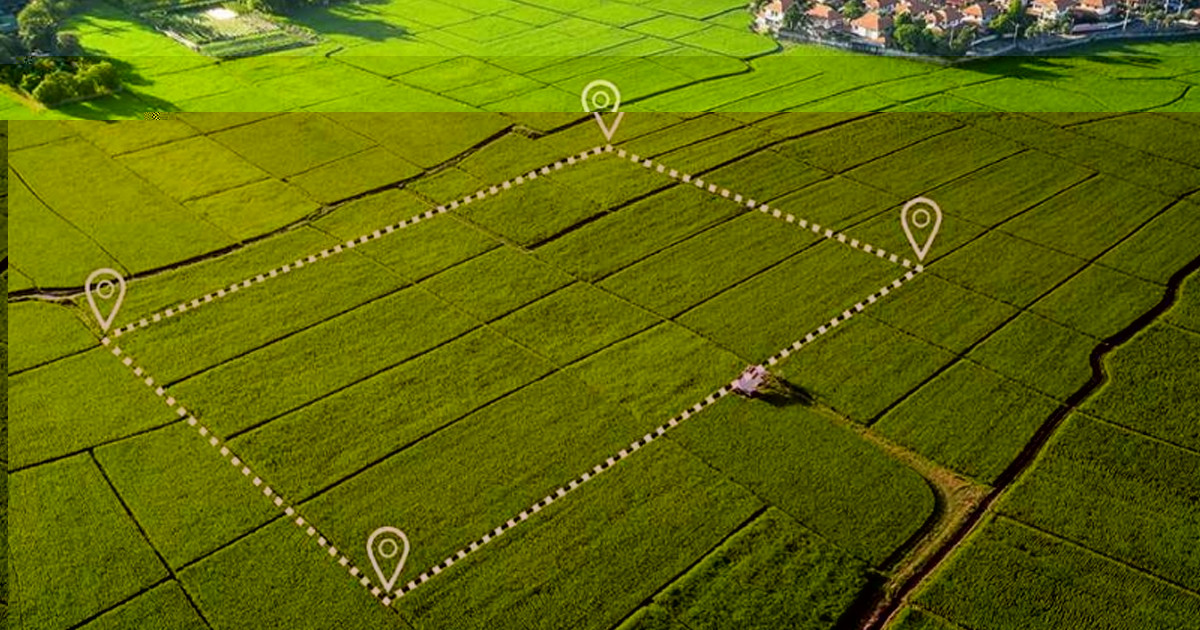 নতুন ভূমি আইনে যেসব কাগজপত্র না থাকলে হারাতে হবে জমি!