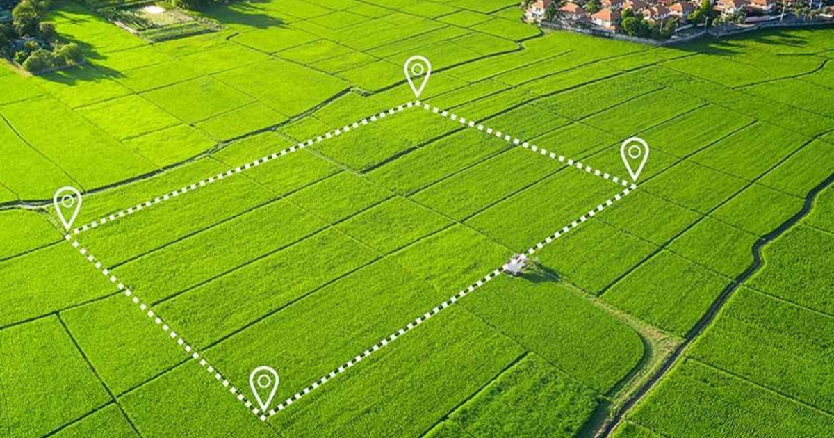 নতুন ভূমি আইনে যেসব কাগজপত্র না থাকলে হারাতে হবে জমি!