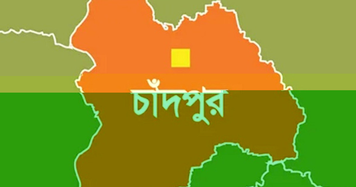 চাঁদপুরে বাসচাপায় প্রাণ গেল নানি-নাতনির