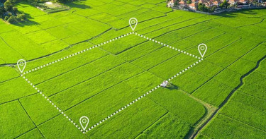 নতুন ভূমি আইনে যেসব কাগজপত্র না থাকলে হারাতে হবে জমি!