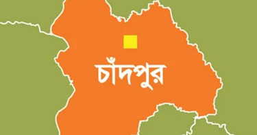 চাঁদপুরে বাসচাপায় প্রাণ গেল নানি-নাতনির