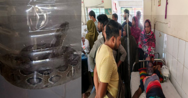 জীবিত ‘রাসেল ভাইপার’ নিয়ে হাসপাতালে হাজির সাপে কাটা কৃষক!