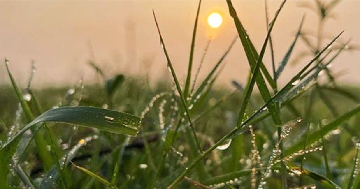 নীলফামারীতে তাপমাত্রা ১৪ ডিগ্রি