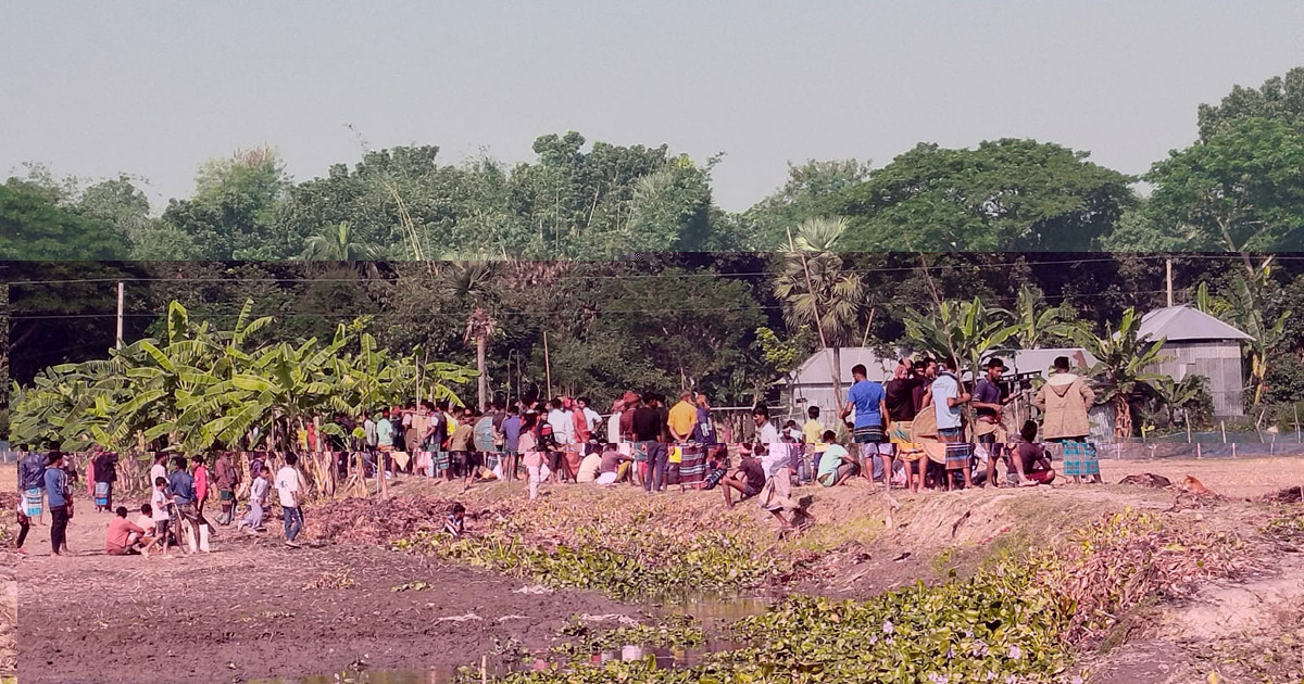 ফরিদপুরের সালথায় দুই গ্রুপের সংঘর্ষে রণক্ষেত্র, আহত শতাধিক