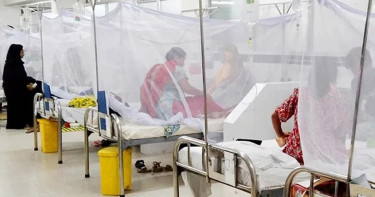 ডেঙ্গুতে ২৪ ঘণ্টায় মৃত্যু নেই, হাসপাতালে আরও ৫৭২ জন