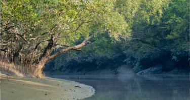 সুন্দরবনের তলদেশে প্রাচীন মিষ্টি পানির উৎস শনাক্ত