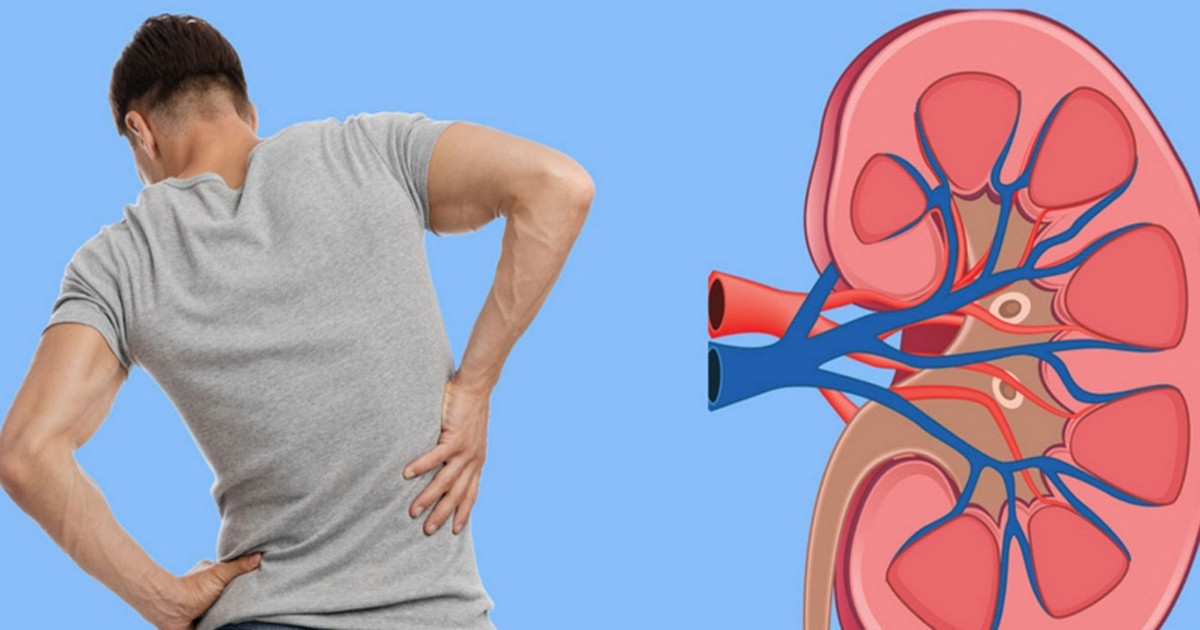 ঘরে বসেই সহজ পদ্ধতিতে পরীক্ষা করুন কিডনি