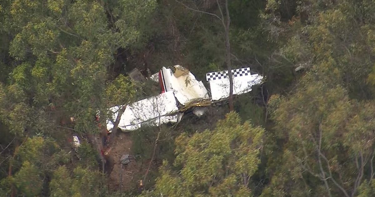 মাঝ আকাশে দুই উড়োজাহাজের সংঘর্ষ, পাইলট নিহত