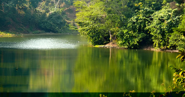 গোসল করতে নেমে প্রাণ গেল তামিমের