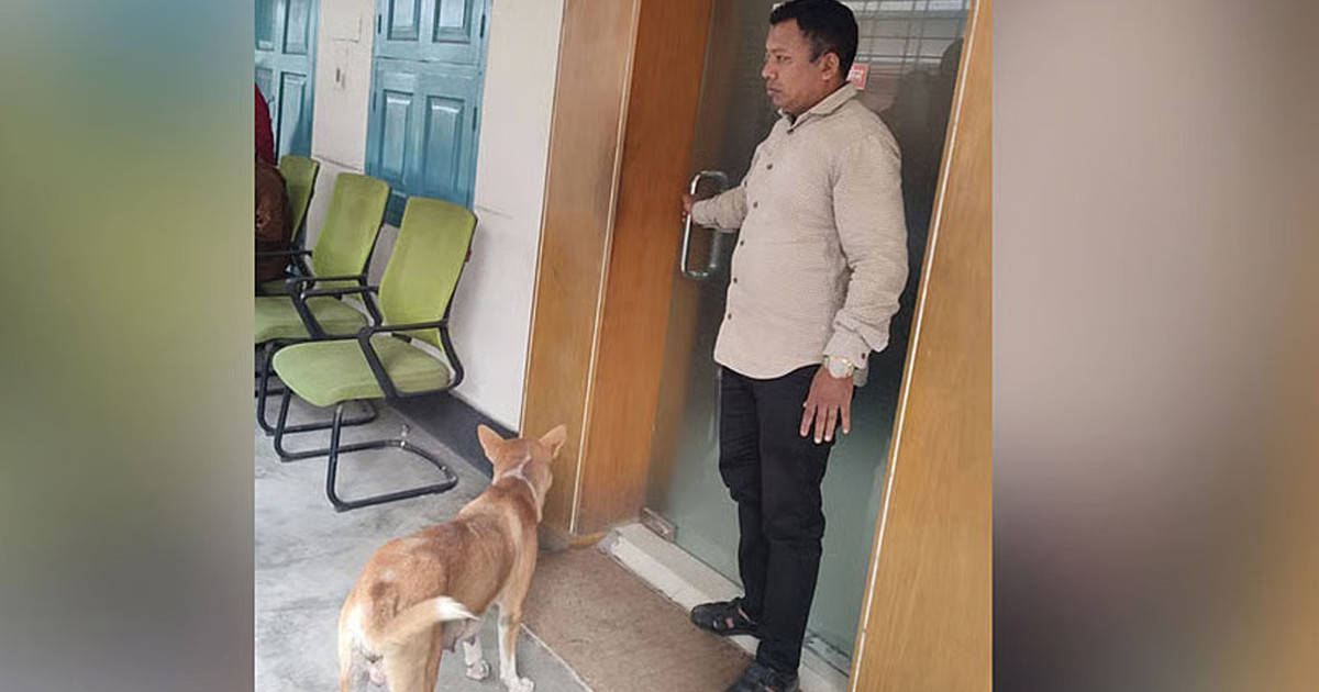 ৮ কুকুরছানা হত্যা, সেই সরকারি কর্মকর্তাকে কোয়ার্টার ছাড়ার নির্দেশ