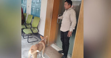 ৮ কুকুরছানা হত্যা, সেই সরকারি কর্মকর্তাকে কোয়ার্টার ছাড়ার নির্দেশ