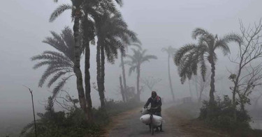 শীতে কাঁপছে উত্তরবঙ্গ, সর্বনিম্ন তাপমাত্রা নওগাঁয়