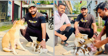 ৮ ছানা হত্যা: মা কুকুরের চিকিৎসায় ৮ সদস্যের টিম